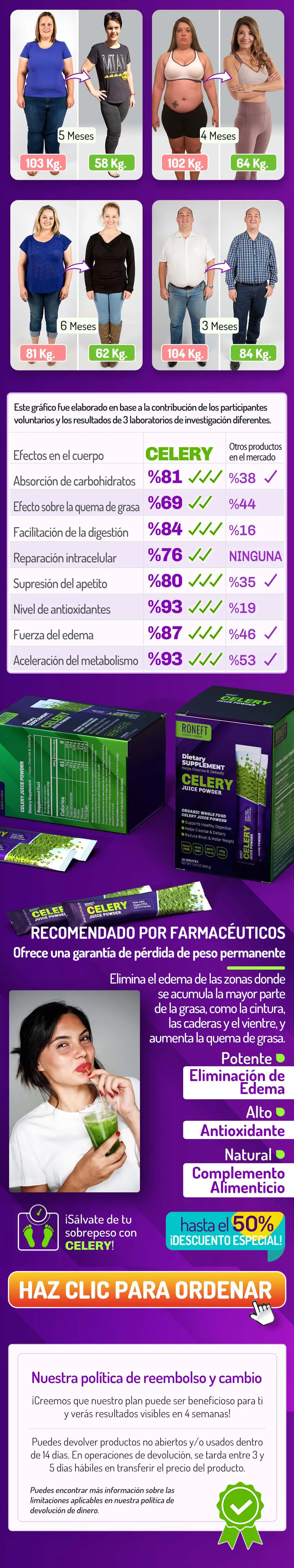 celery6.webp