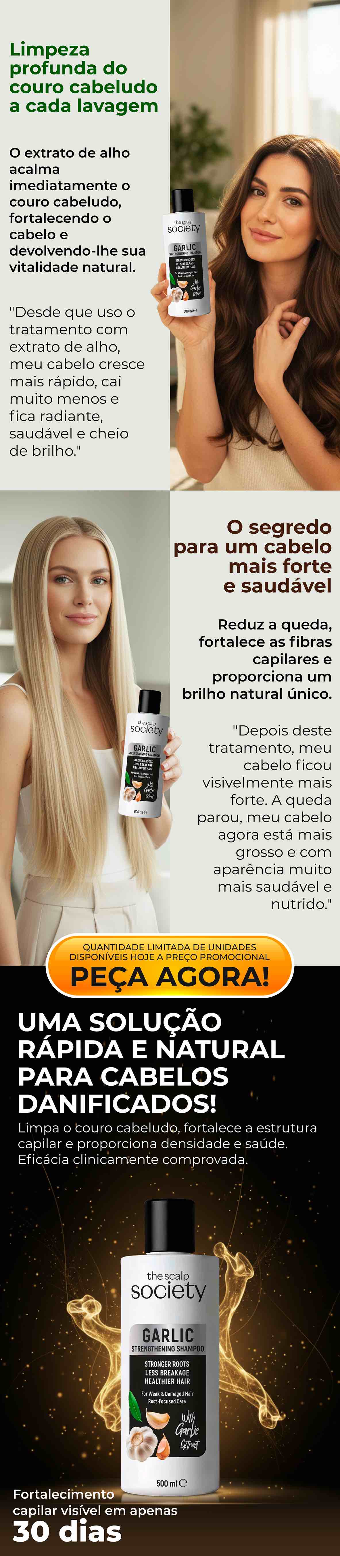garlic-pt-03.webp