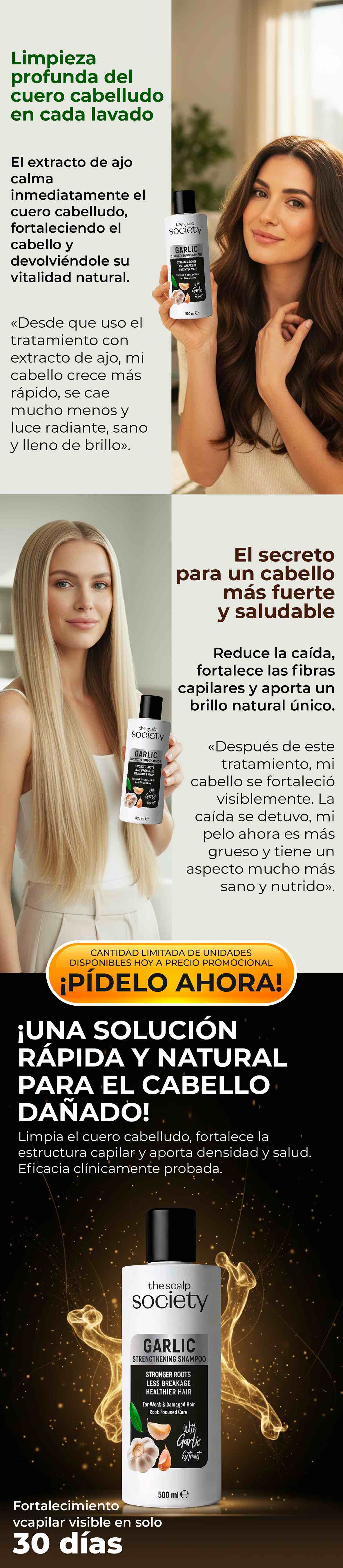 garlic-es-03.jpg