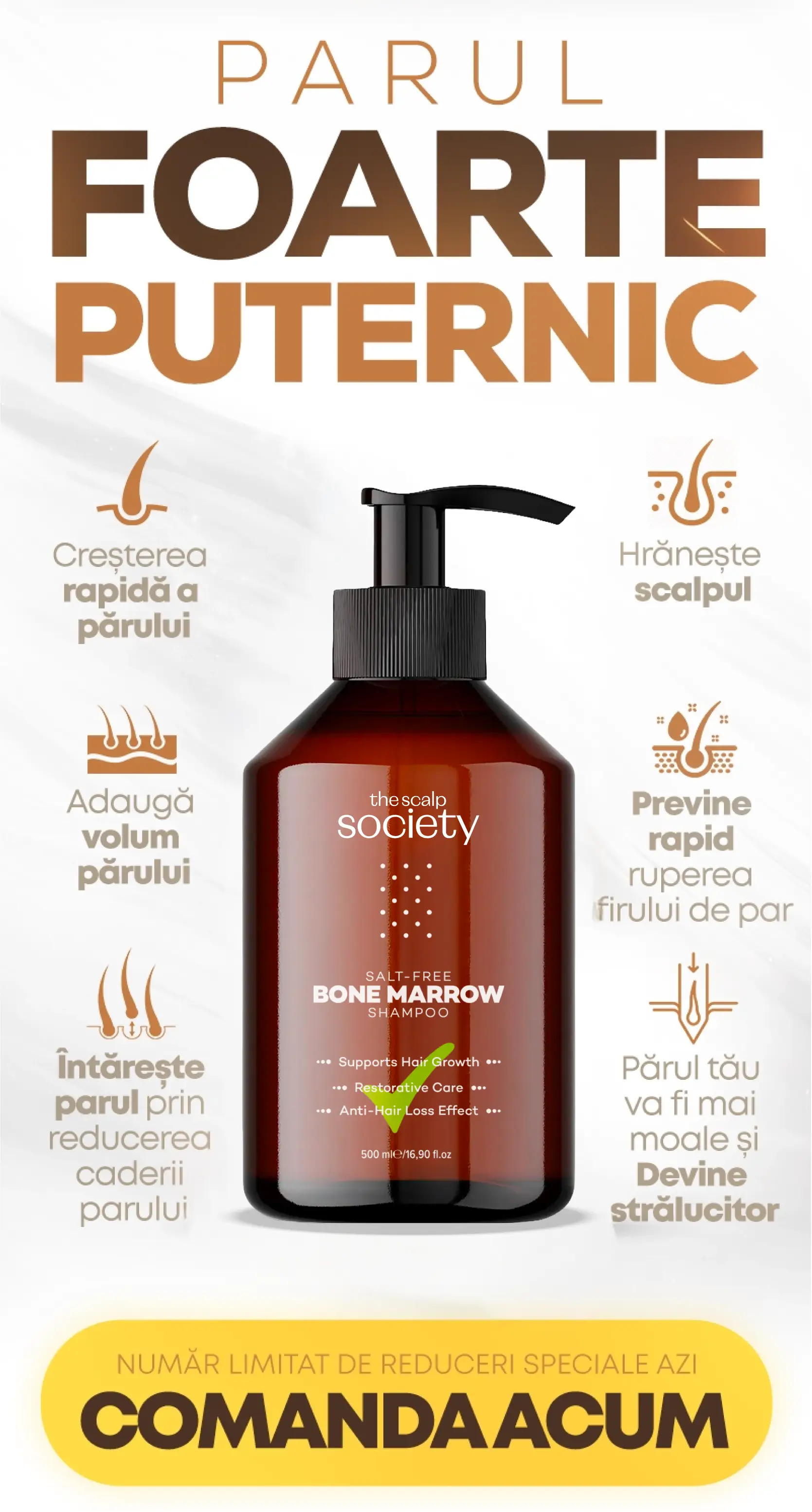 Ro-Lp-02.webp