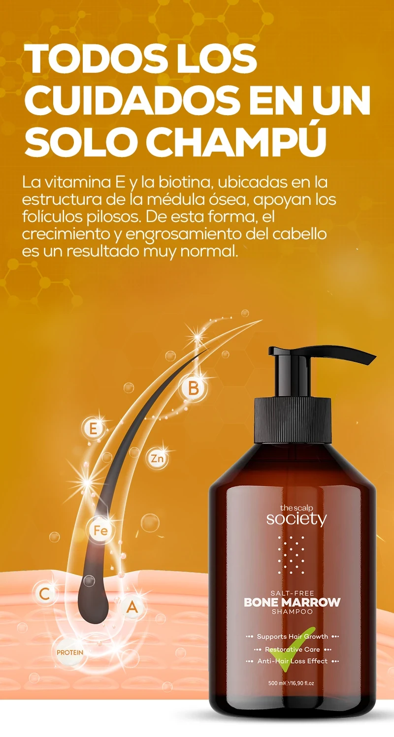 11.webp